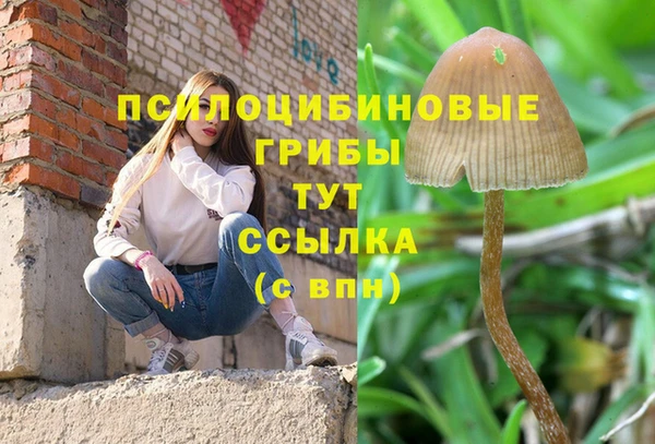 не бодяженный Красноперекопск